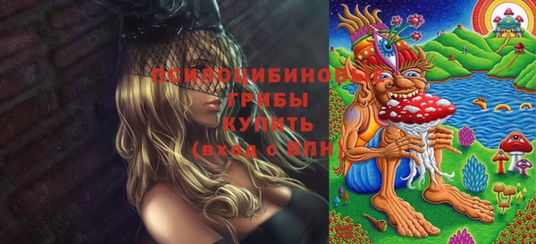 СК Алзамай