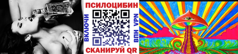 Псилоцибиновые грибы Cubensis хочу наркоту Ефремов